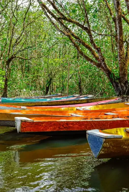Se Monet Fosse da Amazônia — fotografia 6
