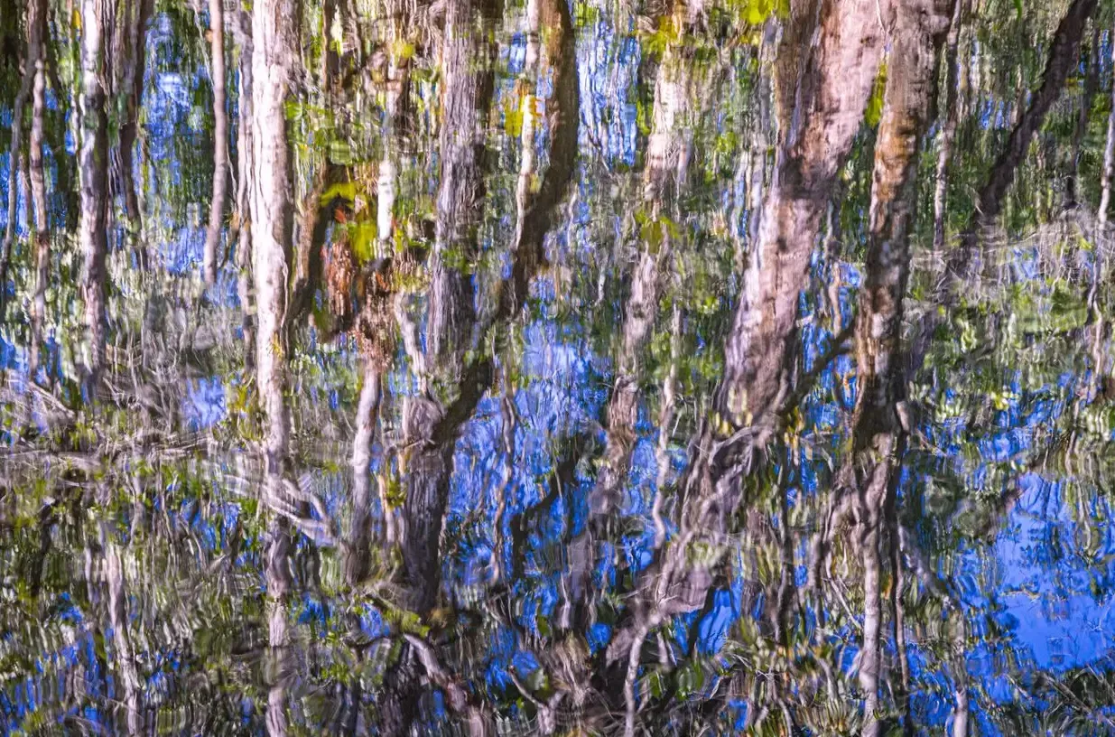 Se Monet Fosse da Amazônia — fotografia 1
