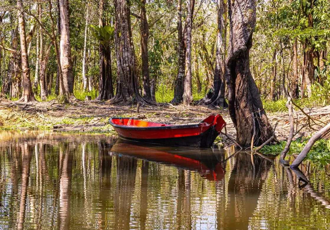 Se Monet Fosse da Amazônia — fotografia 9