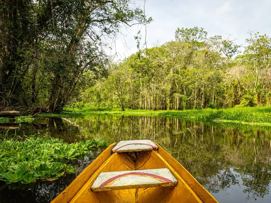 Se Monet Fosse da Amazônia — fotografia 8