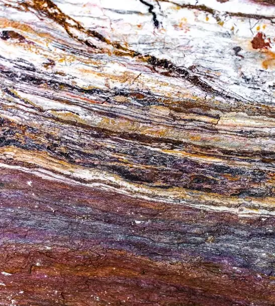 Abstratos Naturais — fotografia 5