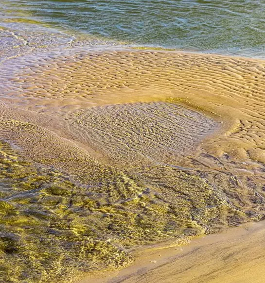 Abstratos Naturais — fotografia 3