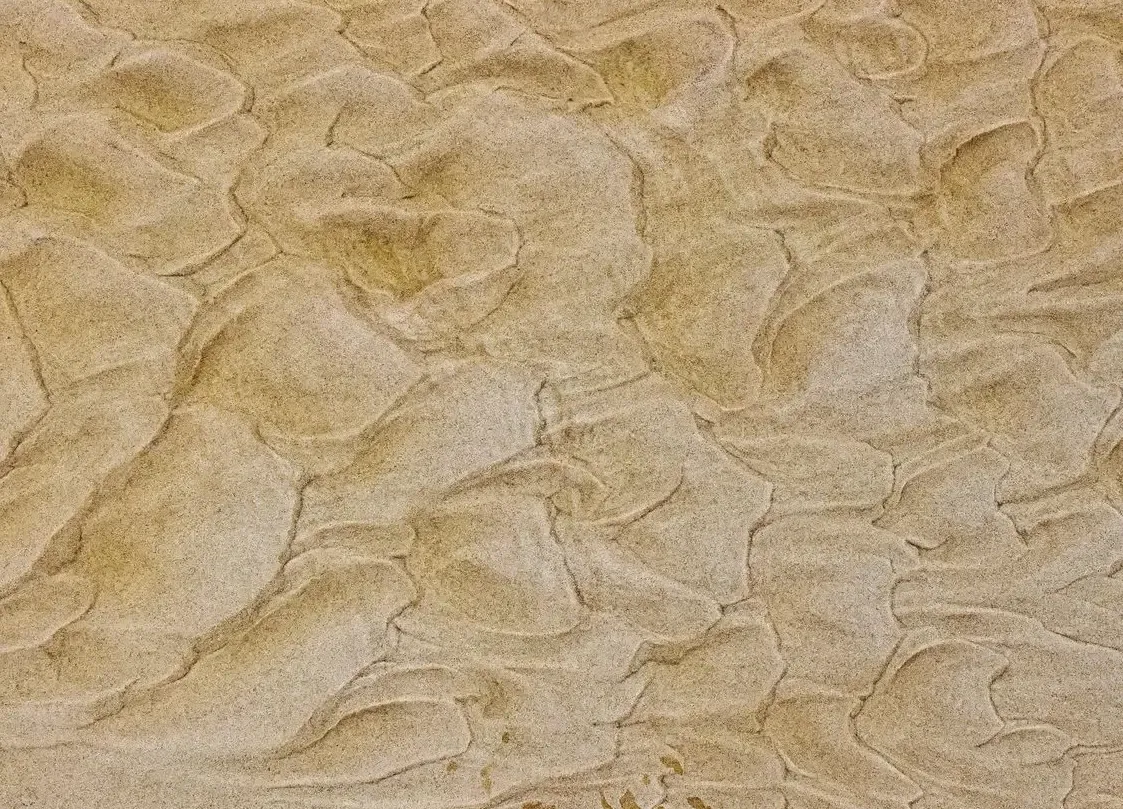 Abstratos Naturais — fotografia 6