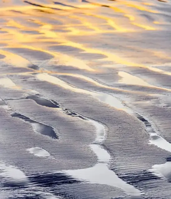 Abstratos Naturais — fotografia 7