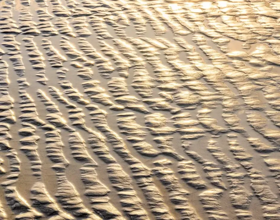 Abstratos Naturais — fotografia 8