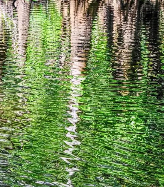 Reflexos na água, fotografia Fine Art
