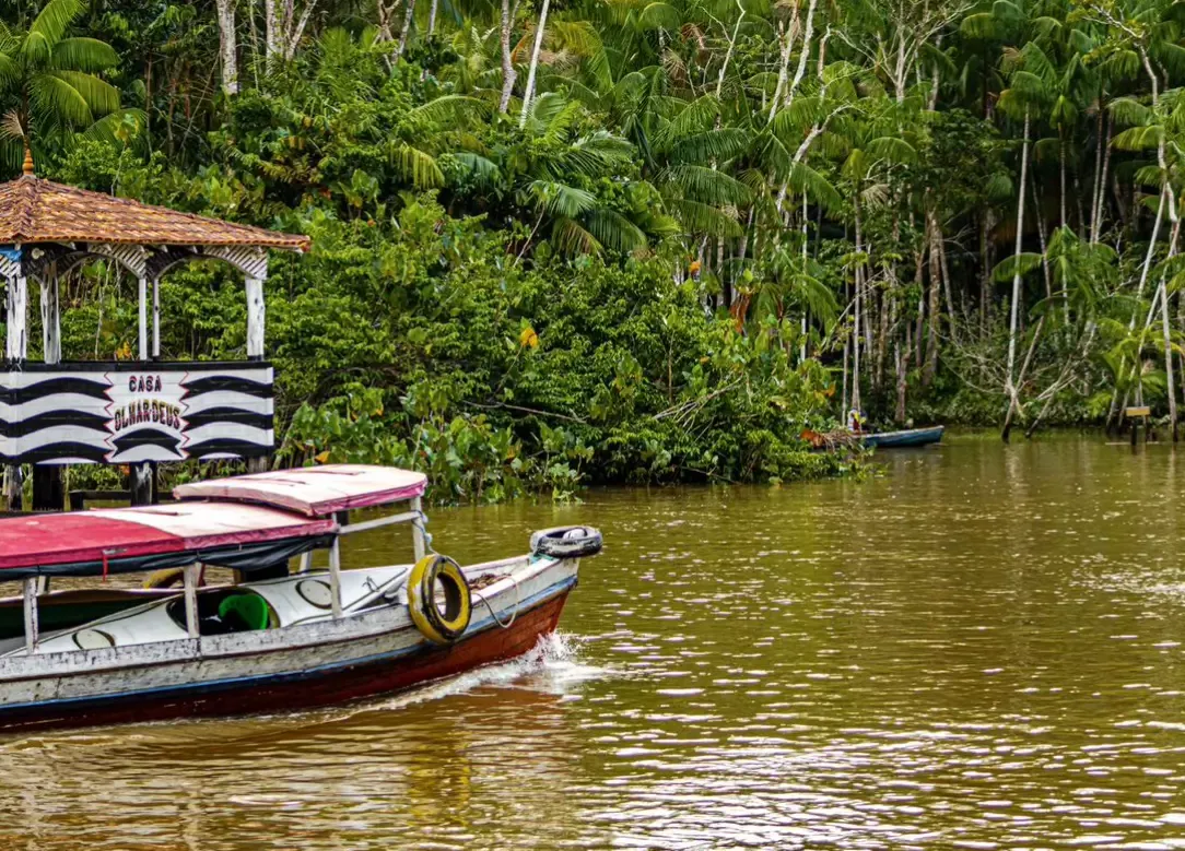 Amazônia — fotografia 4