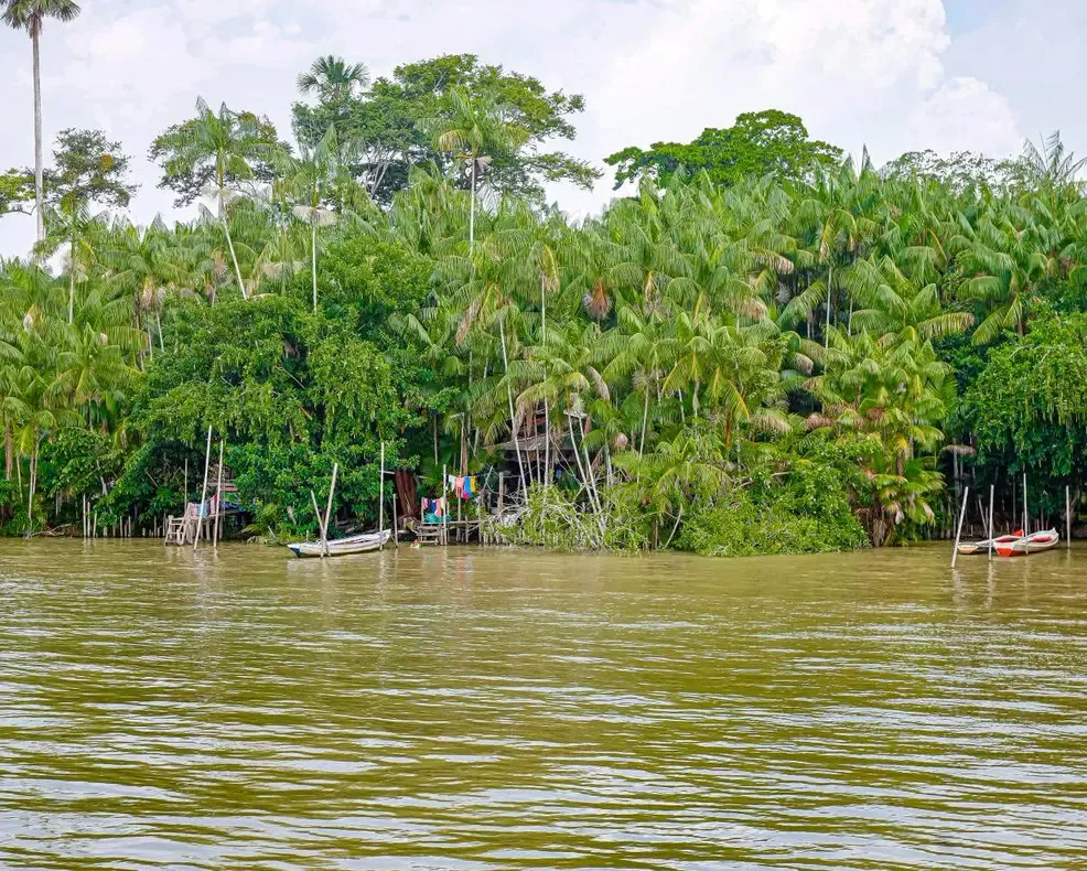 Amazônia — fotografia 8