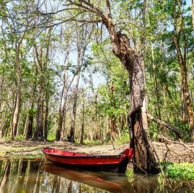 Amazônia — fotografia 10