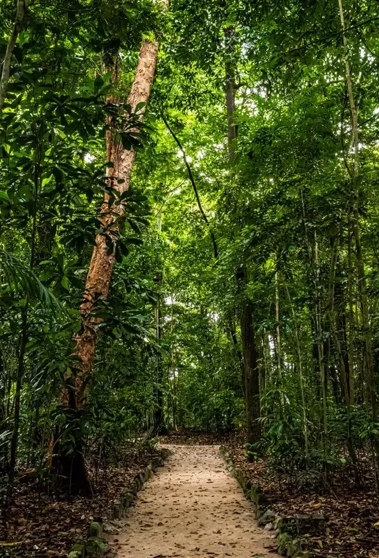 Natureza — fotografia 1