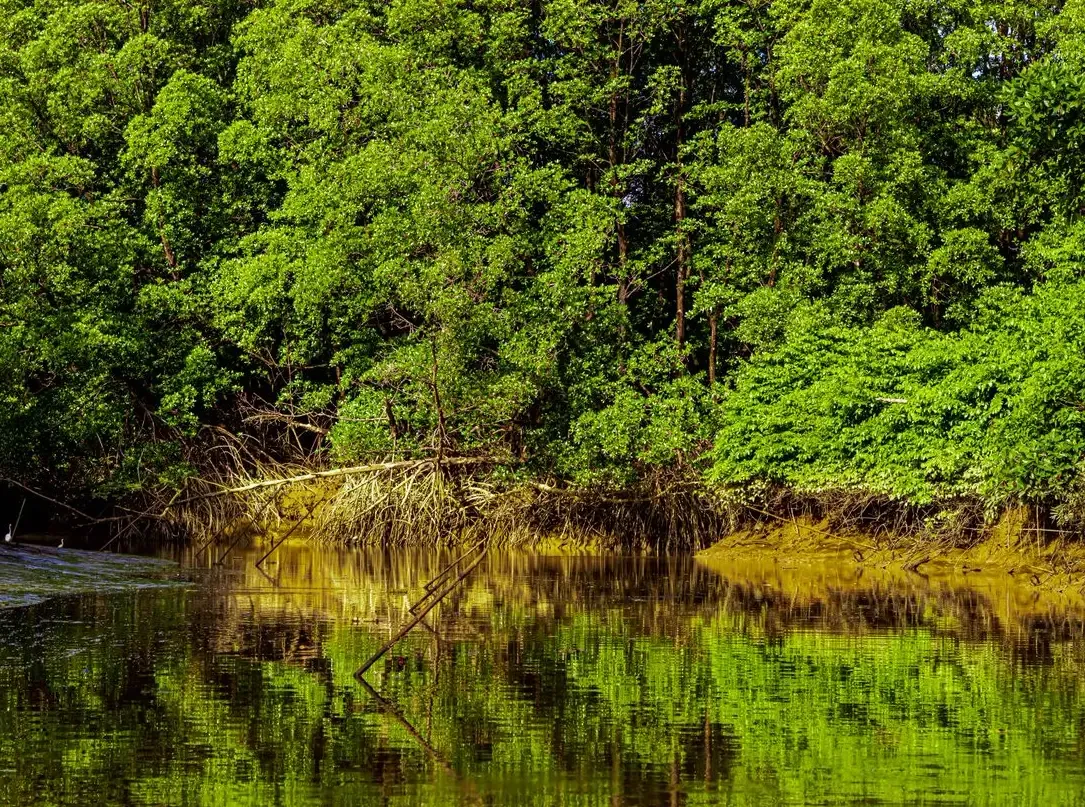 Natureza — fotografia 3