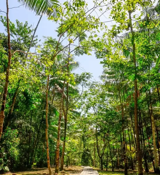 Natureza — fotografia 4
