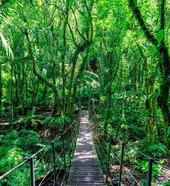 Natureza — fotografia 6