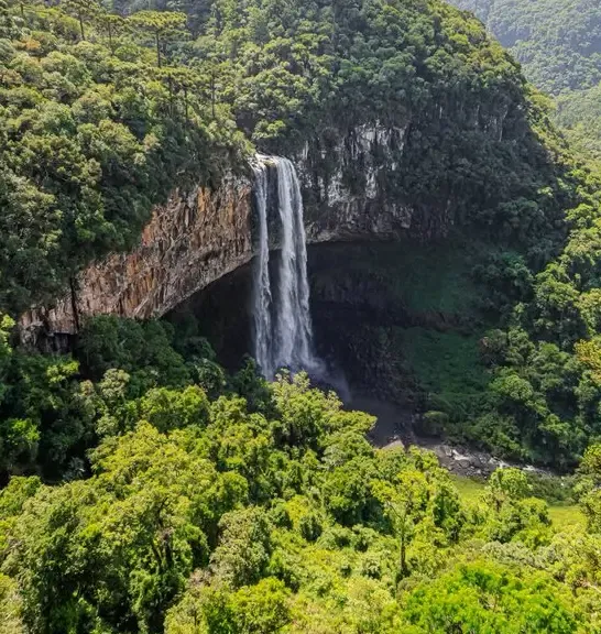Natureza — fotografia 5