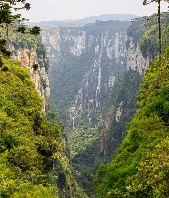 Natureza — fotografia 8
