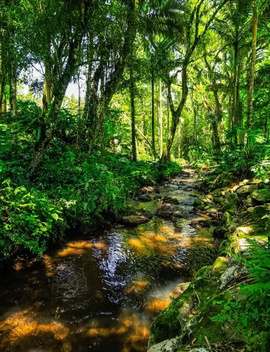 Natureza — fotografia 9