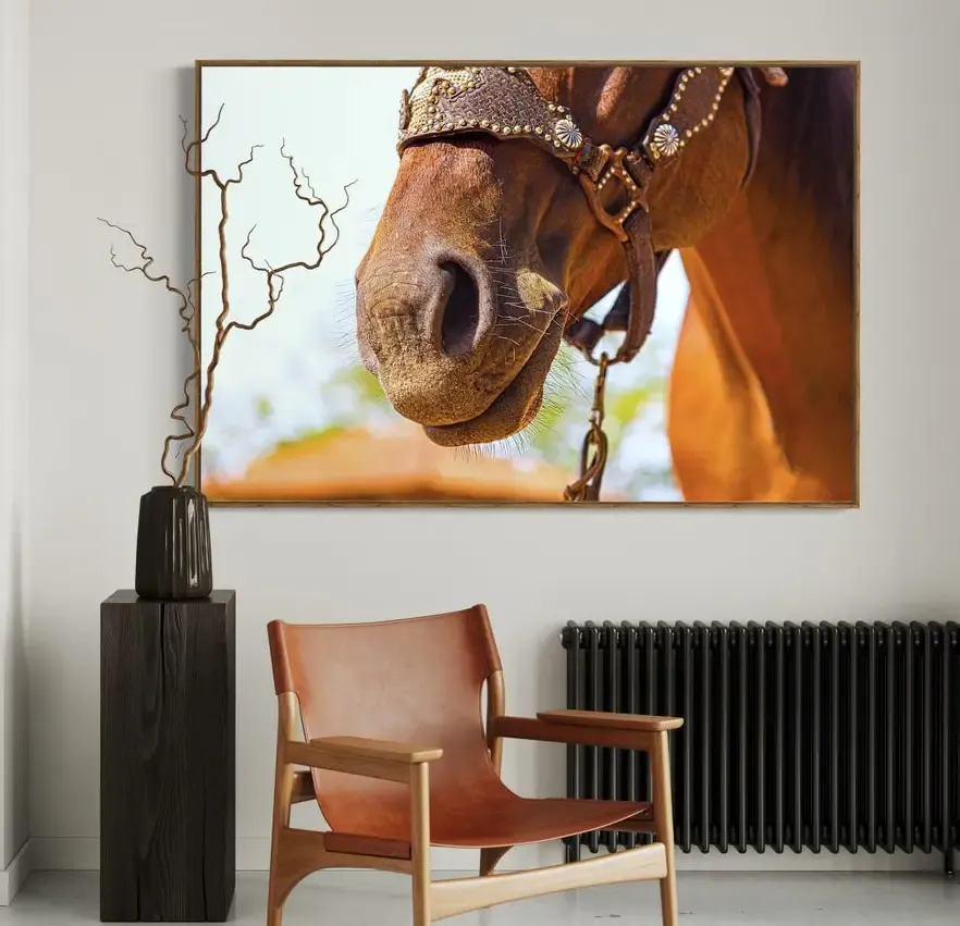 Elegância Equestre