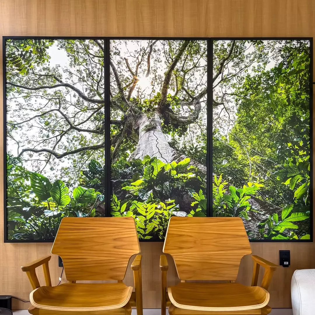 Quadro da artista — fotografia 5